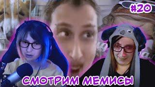 Слепой Горностай смотрит МЕМЫ #20 (feat. Lamka_Alice)