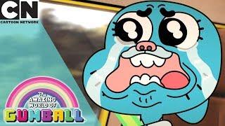 The Amazing World of Gumball | Getting Rid of Darwin | Cartoon Network
