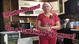 Куда пропала? Что с "томатным" проектом?