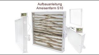 Aufbauanleitung Ameisenfarm S10