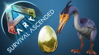 So TAMINT ihr ein HESPERORNIS  und bekommt Ihr GOLDENE EIER / EGGS TUTORIAL - ARK ASCENDED