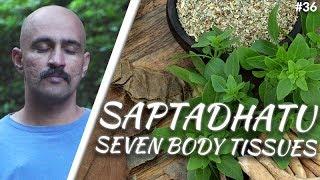 Seven Body Tissues | Ayurveda