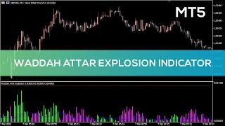 Waddah Attar Explosion Indicator for MT5 - FAST REVIEW