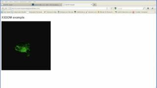 Blender 2.5 Displaying 3D Models in Web Pages Using Webgl Exporting X3D Files and using X3DOM Part 1