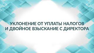 Уклонение от уплаты налогов и двойное взыскание с директора. Советы адвоката.