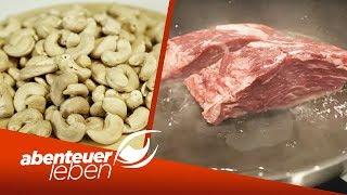 Fakten rund um die Cashewnuss und leckere Nuss Rezepte! | Abenteuer Leben | Kabel Eins