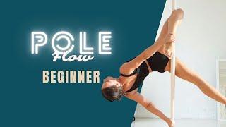 Beginner/Intermediate POLE Flow - Hello boys to Martini to Dangerous Brid