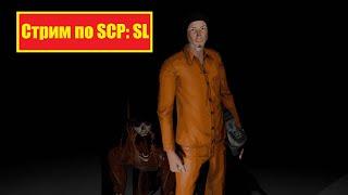 Стрим по игре SCP Secret Laboratory 163