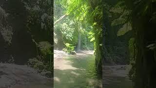 air terjun tersembunyi di Bali, hidden waterfall in Bali