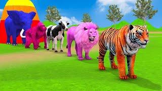 Long Slide Game With Elephant Gorilla Hippopotamus Tiger - 3d Animal Game - Funny 3d Animals