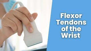 How to scan the Flexor Tendons of the Wrist - MSKUS - 2 minute tuesday