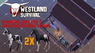 Westland Survival: breeding same rare tier 3 Kentucky Saddler horses twice, what happened?