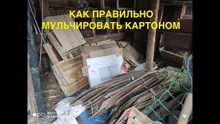 ВСЯ ПРАВДА О МУЛЬЧИРОВАНИИ КАРТОНОМ