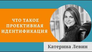 Психоанализ депрессий - Проективная идентификация - Катерина Левин