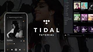 Das ist TIDAL // Das Große Tutorial (Musikstreaming) Deutsch