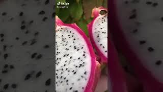 Amazing fruits удивительные фрукты от Камран Shorts Папайя клубника черешня ананас #шортс #личи