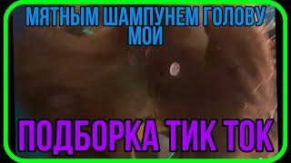 Мятным шампунем голову мой но писю не тронь подборка тикток