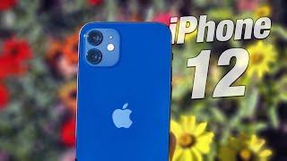 iPhone 12 Late 2022 Review! Worth it?