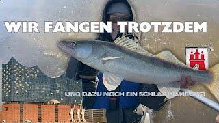 WIR FANGEN TROTZDEM (und dazu noch ein Schlag Hamburg)