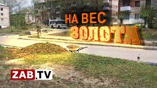 Жители Первомайского покупают дорожный мусор