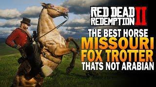 The Best Horse That's NOT An Arabian! The Missouri Fox Trotter! Red Dead Redemption 2 Horses [RDR2]