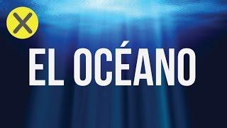 10 Datos curiosos del océano (CG#3)
