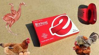 Vitamin E for Chickens | Evion Capsule For Poultry Birds | Dr. ARSHAD