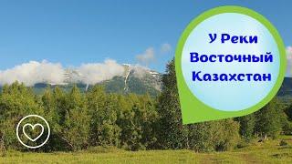 Звуки природы. Пение птиц. Релакс перед сном. Фон для медитации.Фон для сеанса Рейки, Йоги.