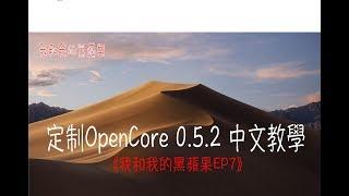 《我和我的黑蘋果EP07》｜Z390｜ 定制 OpenCore 052 中文教學