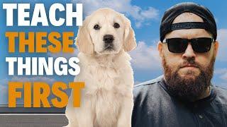 The First 3 Things You MUST Teach Your Dog!