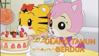 Ulang Tahun Berdua | Kartun Anak Bahasa Indonesia | Shimajiro Bahasa Indonesia