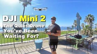 The DJI Mini 2 is Quieter Then You Think!