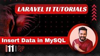 Laravel 11 tutorial #41 Insert data in MySQL table with html form