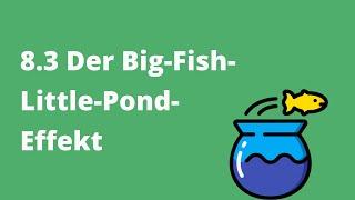 Motivation und Unterricht: 8.3 Der Big-Fish-Little-Pond-Effekt