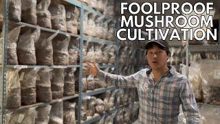 Foolproof Mushroom Farming: Your Secret Ticket to Serious Money