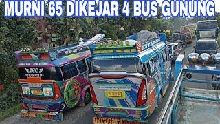 MURNI 65 DIKEJAR 4 BUS GUNUNG LAINNYA - SENSASI DUDUK DIATAS ATAP BUS GUNUNG.