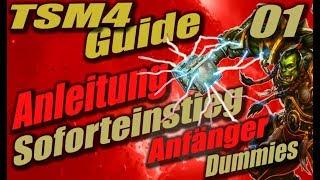 TSM4 Guide: Anleitung und easy Soforteinstieg für Dummies und Anfänger im WoW Goldmaking #1