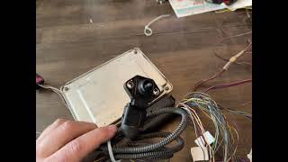 Volkswagen ALH standalone wiring harness detail for engine swap