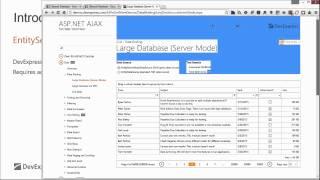Entity Framework and DevExpress ASP NET