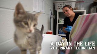 A Day In Life - Veterinary Technician