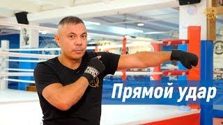 Kostya Tszyu. A direct blow with the front hand. Basic mistakes.