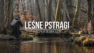 Leśne Pstrągi - jak łowić pstrągi w małej rzece