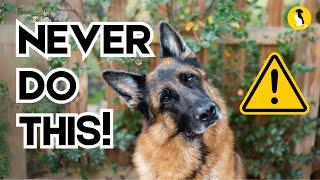 5 Everyday Things That HURT Your German Shepherd’s Feelings