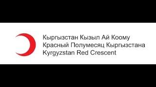 Красный Полумесяц Кыргызстана активно задействован в работе Штаба помощи