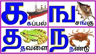 உயிர்மெய் எழுத்துக்கள் (UyirMei Ezhuthukkal)|Tamil Letters| க ங ச ஞ ட @PRINIT1419