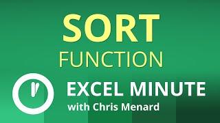 Excel SORT Function | Excel One Minute Functions Explained