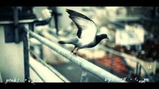 Pink Floyd - Coming Back To Life - By-Sherif_ElsammaN.avi