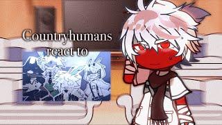 Countryhumans react to fundamental paper education