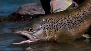 ORVIS - Spotting Trout in Dirty Water