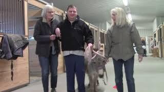 MCFI participants experience equine assisted therapy